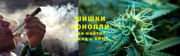дмт Алзамай