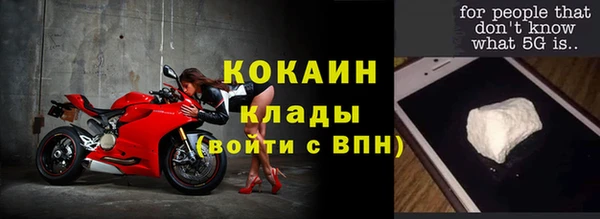 мет Алексин