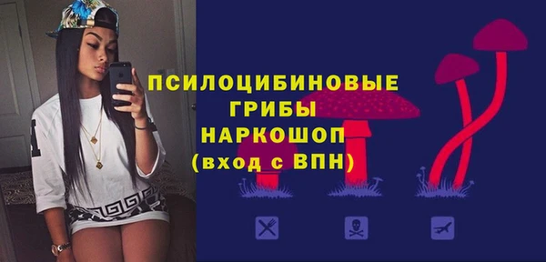 дмт Алзамай