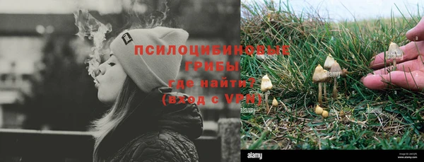 мет Алексин