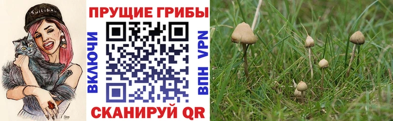 Галлюциногенные грибы Magic Shrooms  Оса 